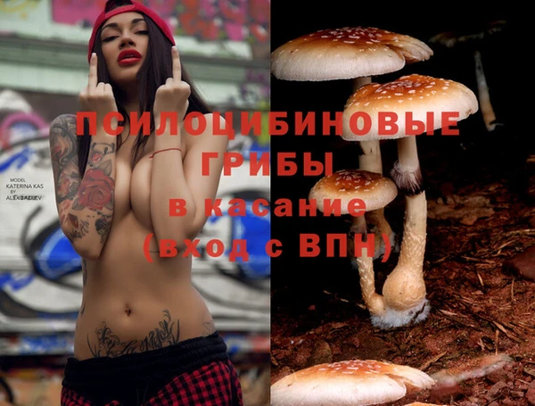 первитин Армянск